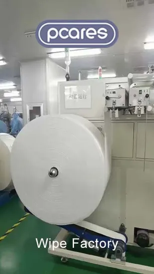 18*18cm Top New Design 40GSM Hot Sell High Quality Competitive Price Pet Wet Wipe
